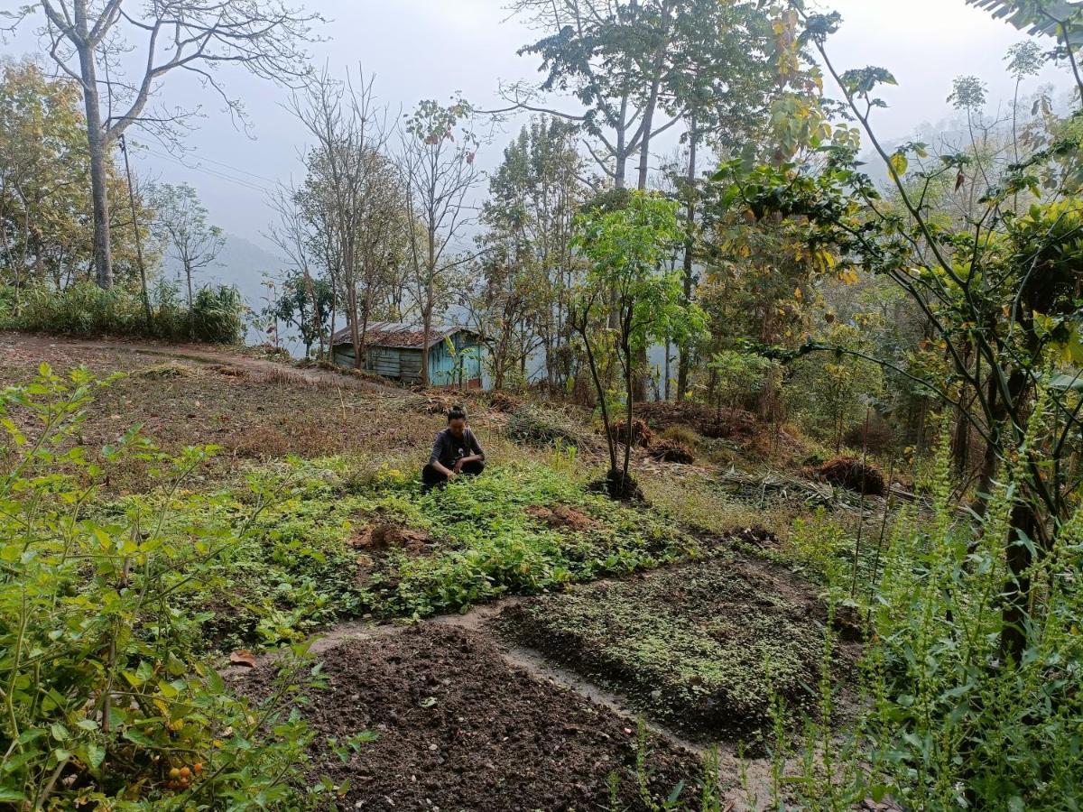 Live In Nature Darjeeling  Exterior photo