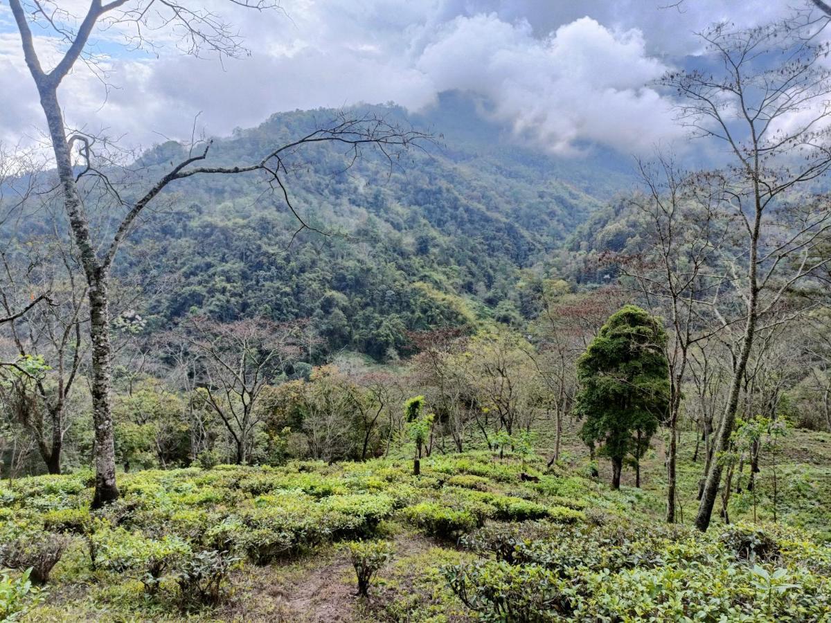 Live In Nature Darjeeling  Exterior photo